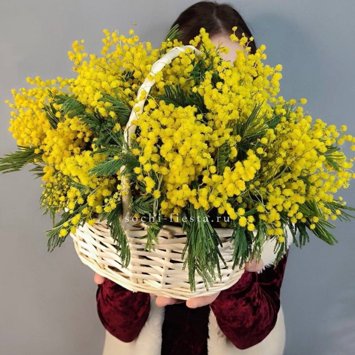 Корзина ароматной мимозы в Архангельске