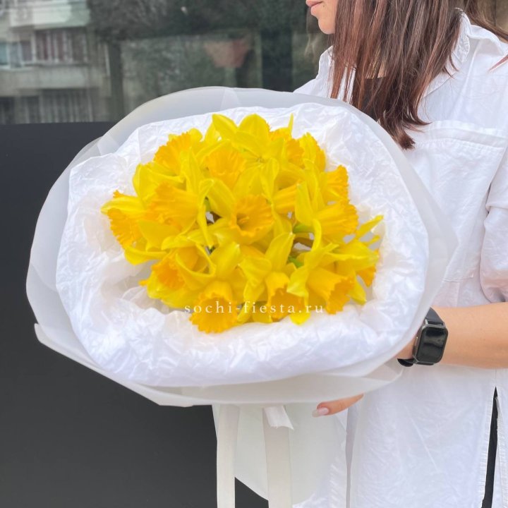 Нарциссы 25 шт в Архангельске