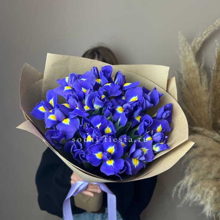 Ирисы в Архангельске