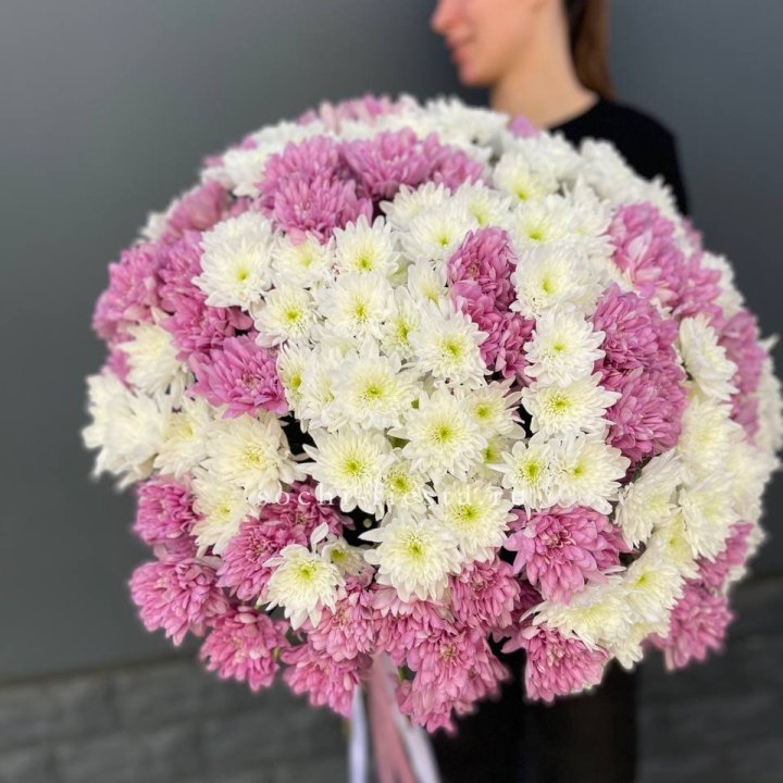  Букет 25 хризантем микс в Архангельске