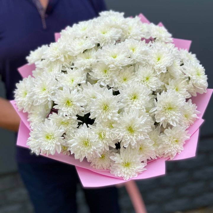  Букет 15 хризантем  в Архангельске