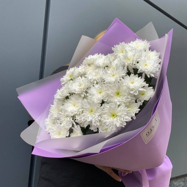  7 хризантем  в Архангельске