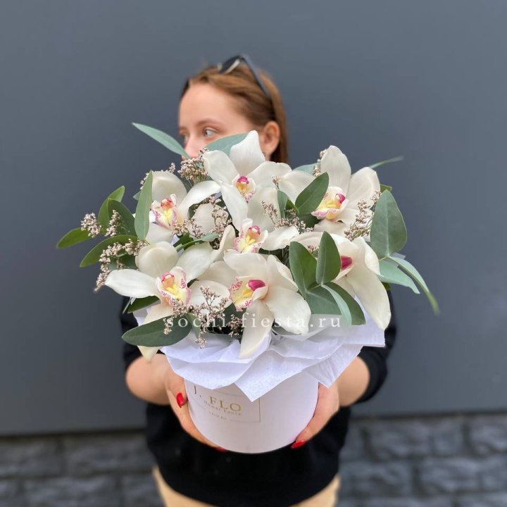 7 орхидей в боксе в Архангельске