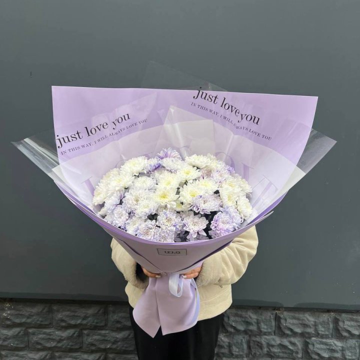 9 воздушных хризантем в Архангельске