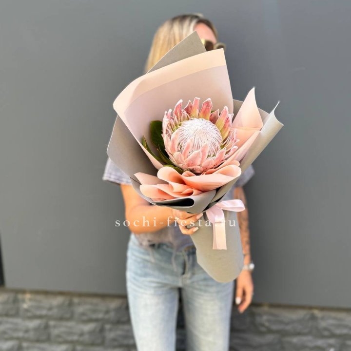 Протея мини  в Архангельске