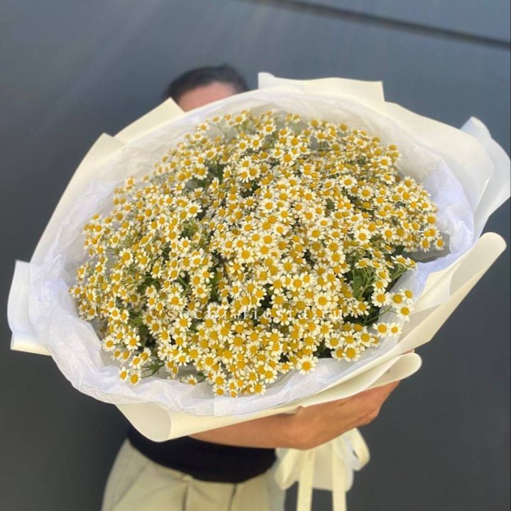 Букет ромашек №2 в Архангельске