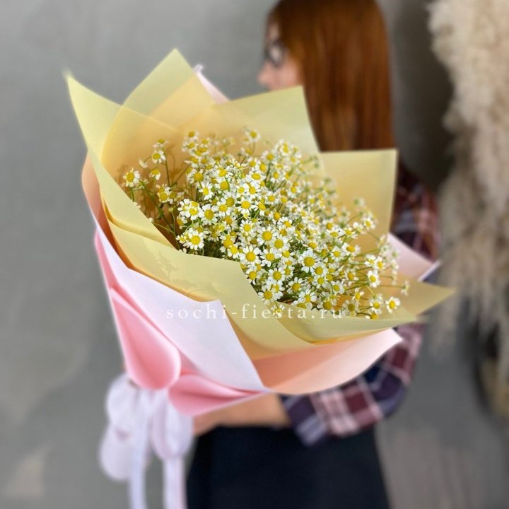 Букет ромашек №3 в Архангельске