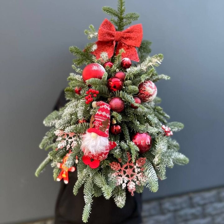 Новогодняя елочка "Ред" в Архангельске