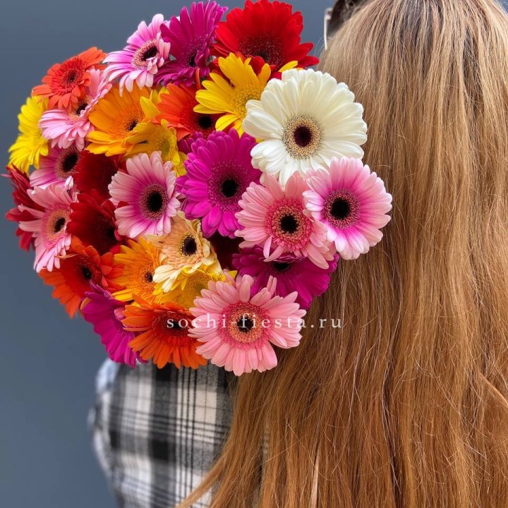 Охапка гербер  в Архангельске