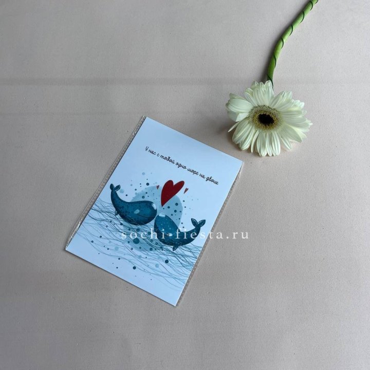 Открытка к букету "У нас с тобой одно море на двоих" в Архангельске