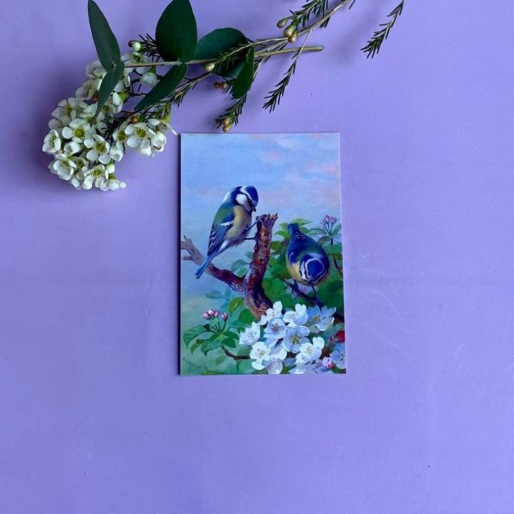 Открытка к букету "Птицы" в Архангельске