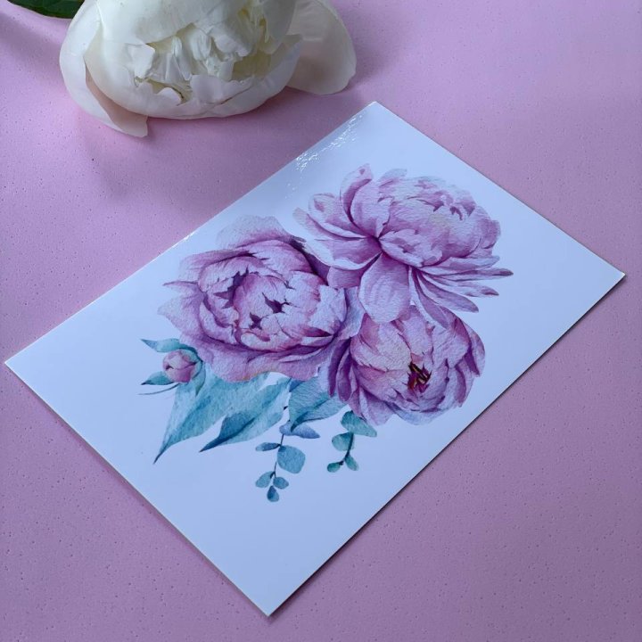 Открытка к букету "Пионы" в Архангельске