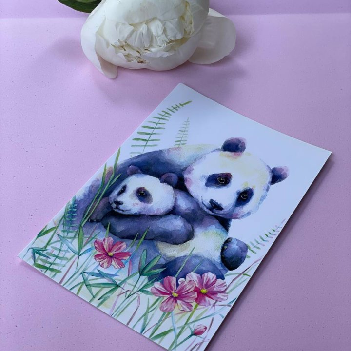 Открытка к букету "Объятие Панды" в Архангельске