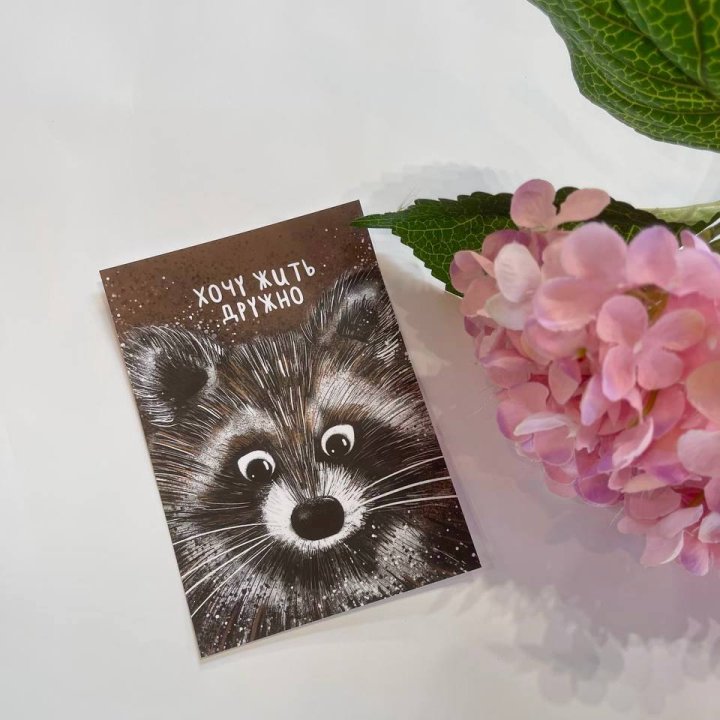 Открытка к букету "Енотик" в Архангельске