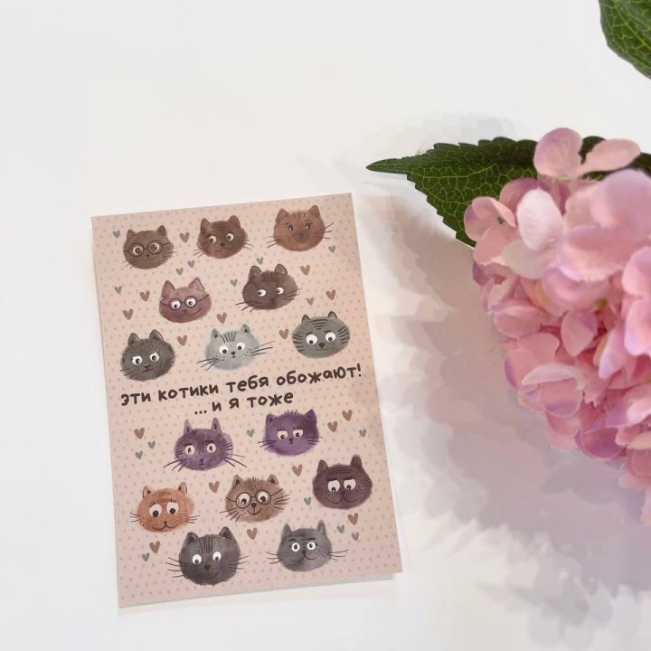 Открытка к букету "Котики" в Архангельске