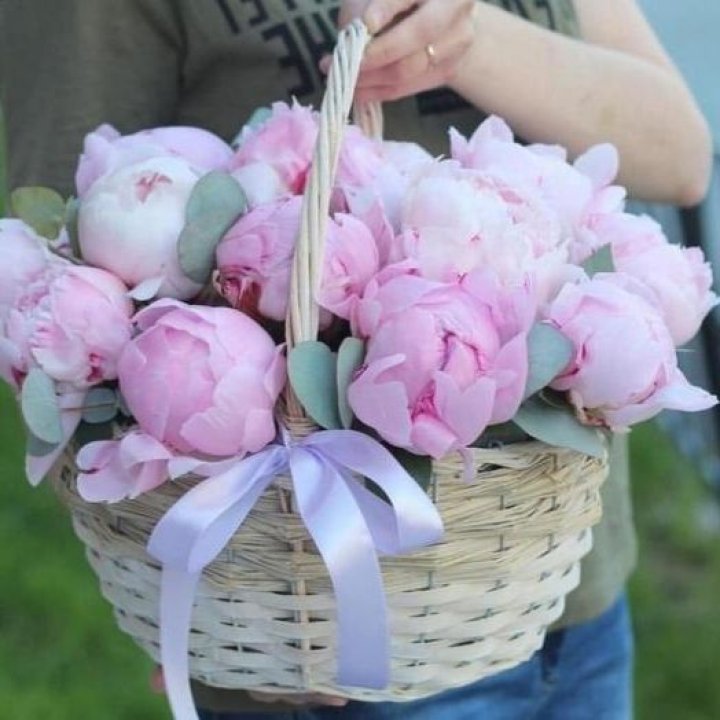 15 пионов в корзине в Архангельске