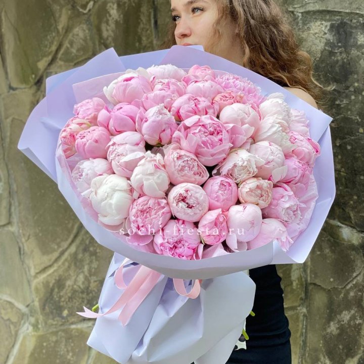 39 нежных пионов в Архангельске