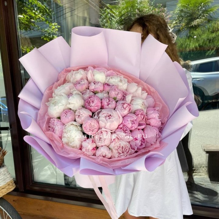 51 розовый пион в Архангельске