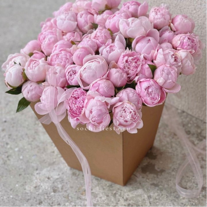 49 пионов в крафт коробке в Архангельске