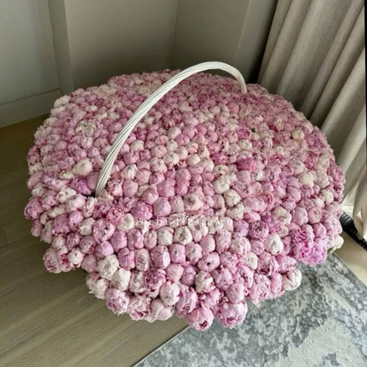 Корзина 555 пионов в Архангельске