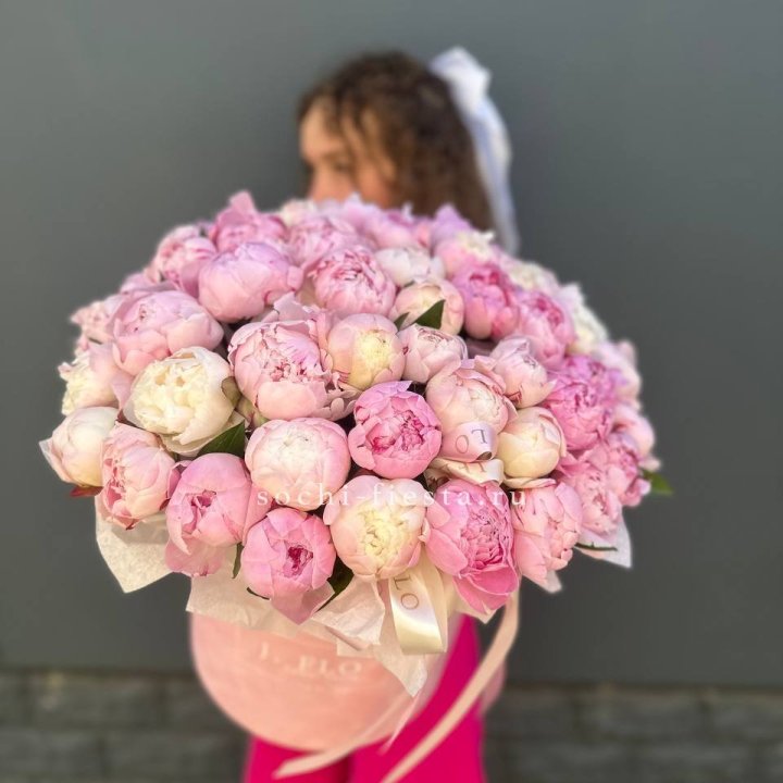 51 нежных пионов  в цилиндре в Архангельске