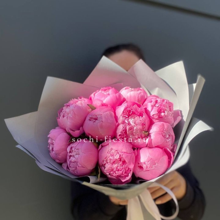 Пионы Алекс флеминг в Архангельске