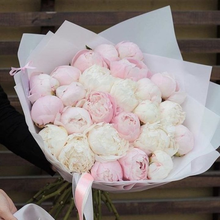 29 пионов в Архангельске