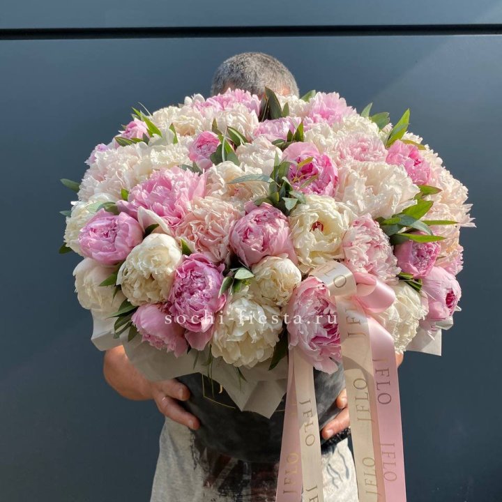 51 пионов в боксе в Архангельске