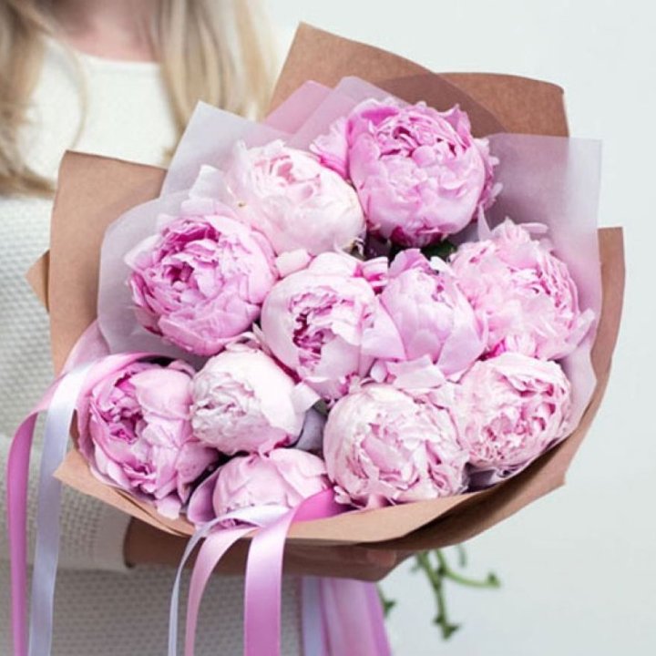 11 нежных пионов в Архангельске