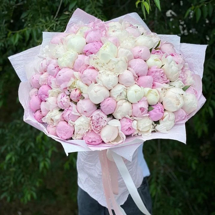 101 пион в Архангельске