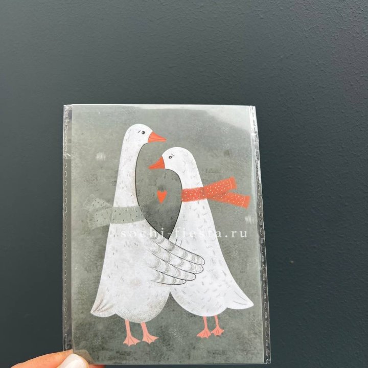 Открытка к букету "Гуси” в Архангельске