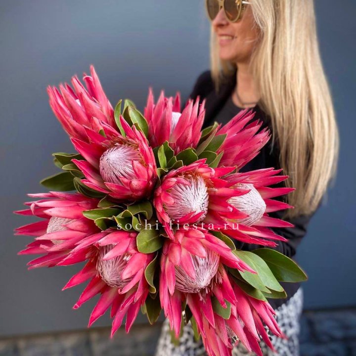 Протея штучно в Архангельске