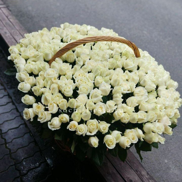 303 розы в корзине в Архангельске