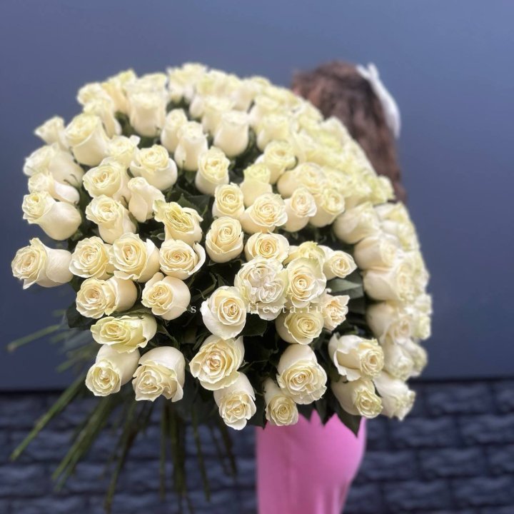 101 белая высокая импортная роза под ленту в Архангельске