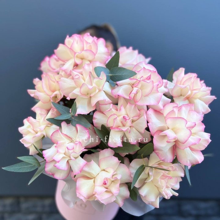 15 Французских роз Джумилия в боксе в Архангельске