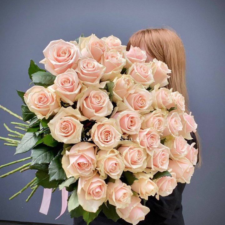 35 кремовых высоких роз в Архангельске