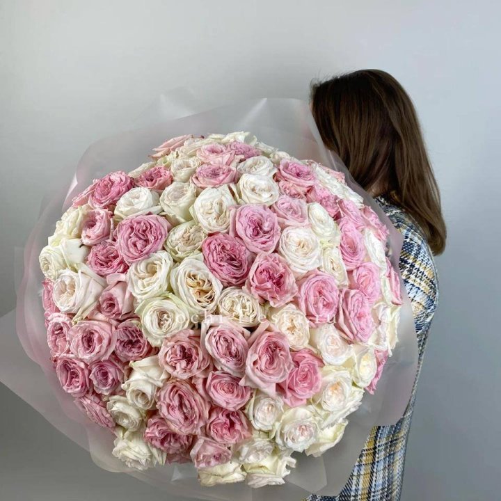 101 роз Охара в Архангельске