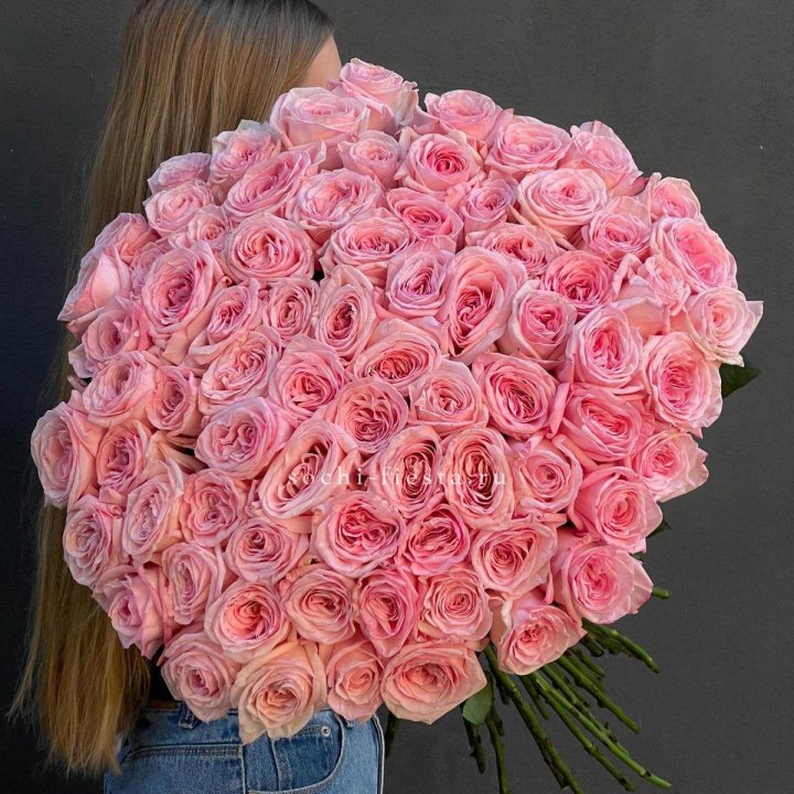 75 роз Охара в Архангельске