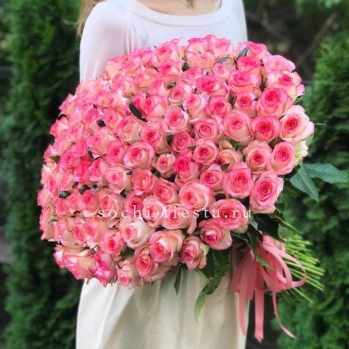 101  джумилия роза  в Архангельске