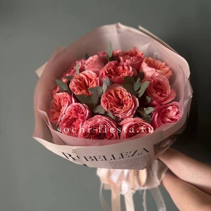 15 Пинк экспрешен в Архангельске