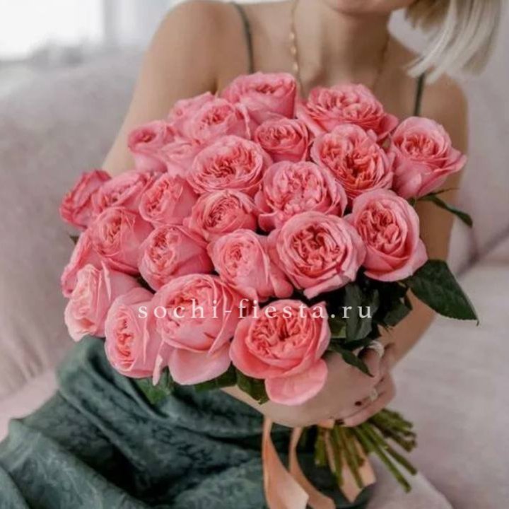 25 Пинк экспрешен  в Архангельске