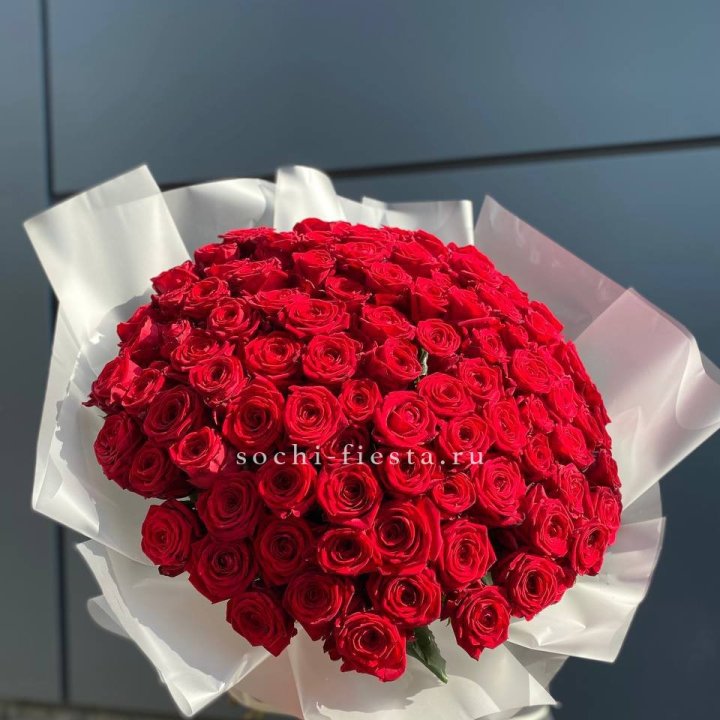 101 высокая роза в Архангельске