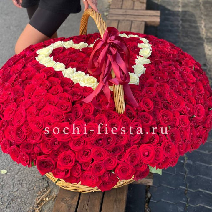 505 роз в Архангельске