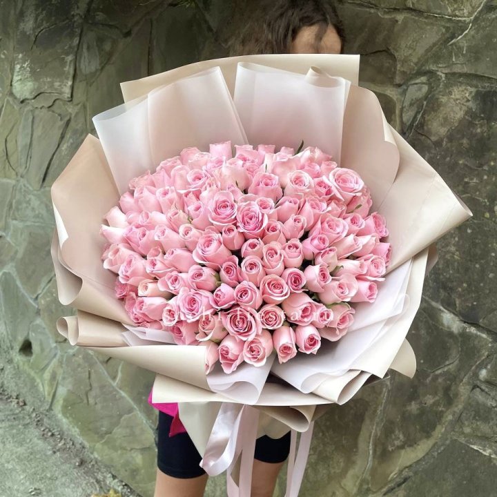 101 нежно-розовая роза Каролина  в Архангельске