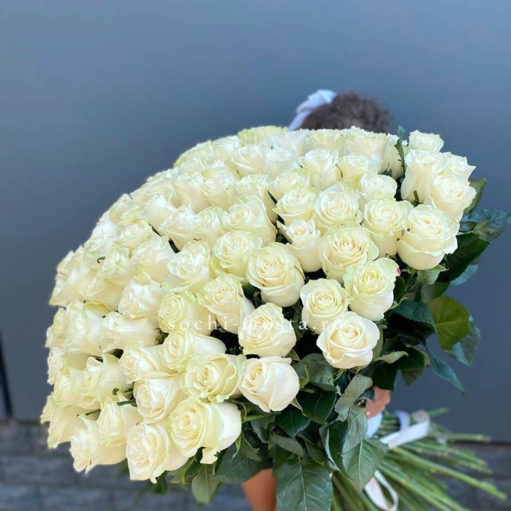101 белая высокая роза в Архангельске