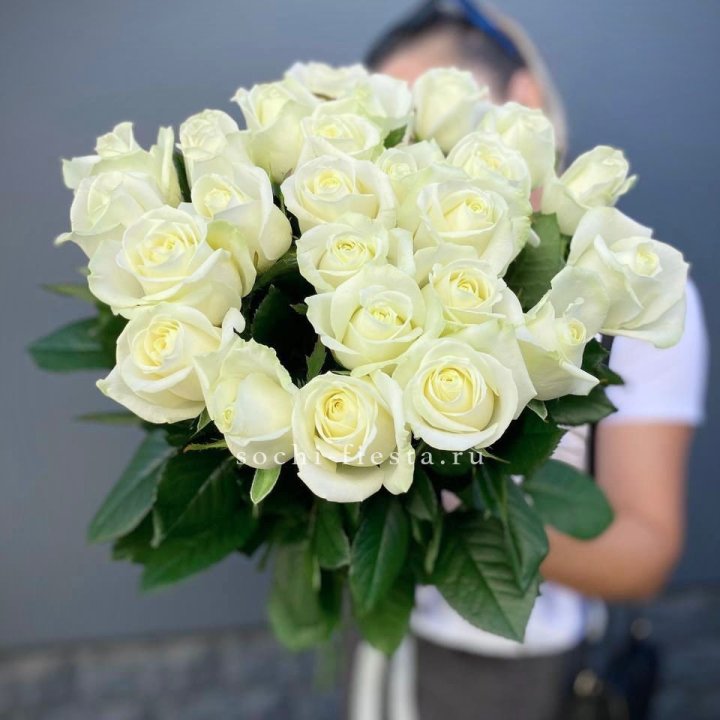 Голландские розы белые 25 в Архангельске