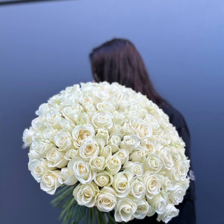 Охапка из 101 белой розы  в Архангельске