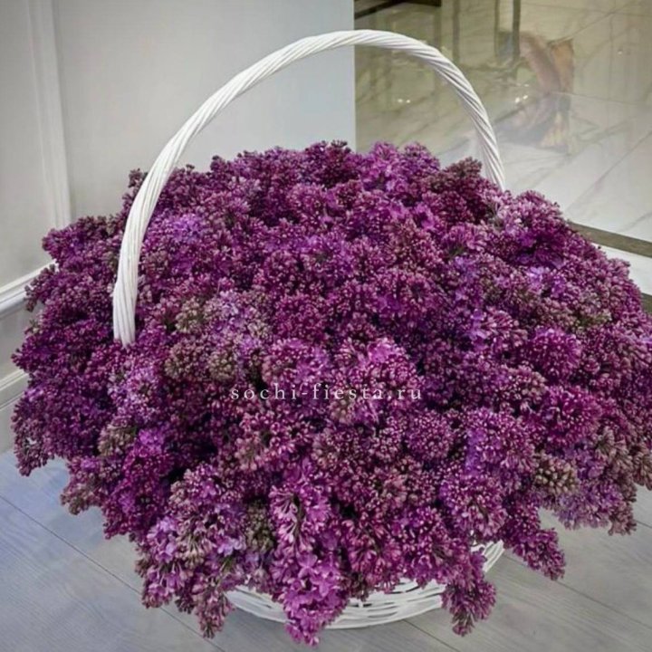 Корзина сирени в Архангельске