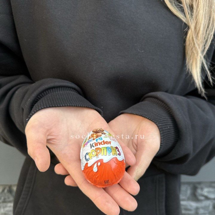 Яйцо "Киндер Сюрприз" в Архангельске