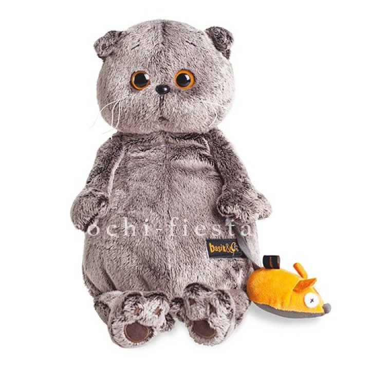 Кот Басик с мышкой в Архангельске